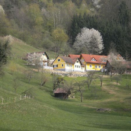 Buchschneider - Ferienhaus Maier - Landhof Schwarzautal Bagian luar foto