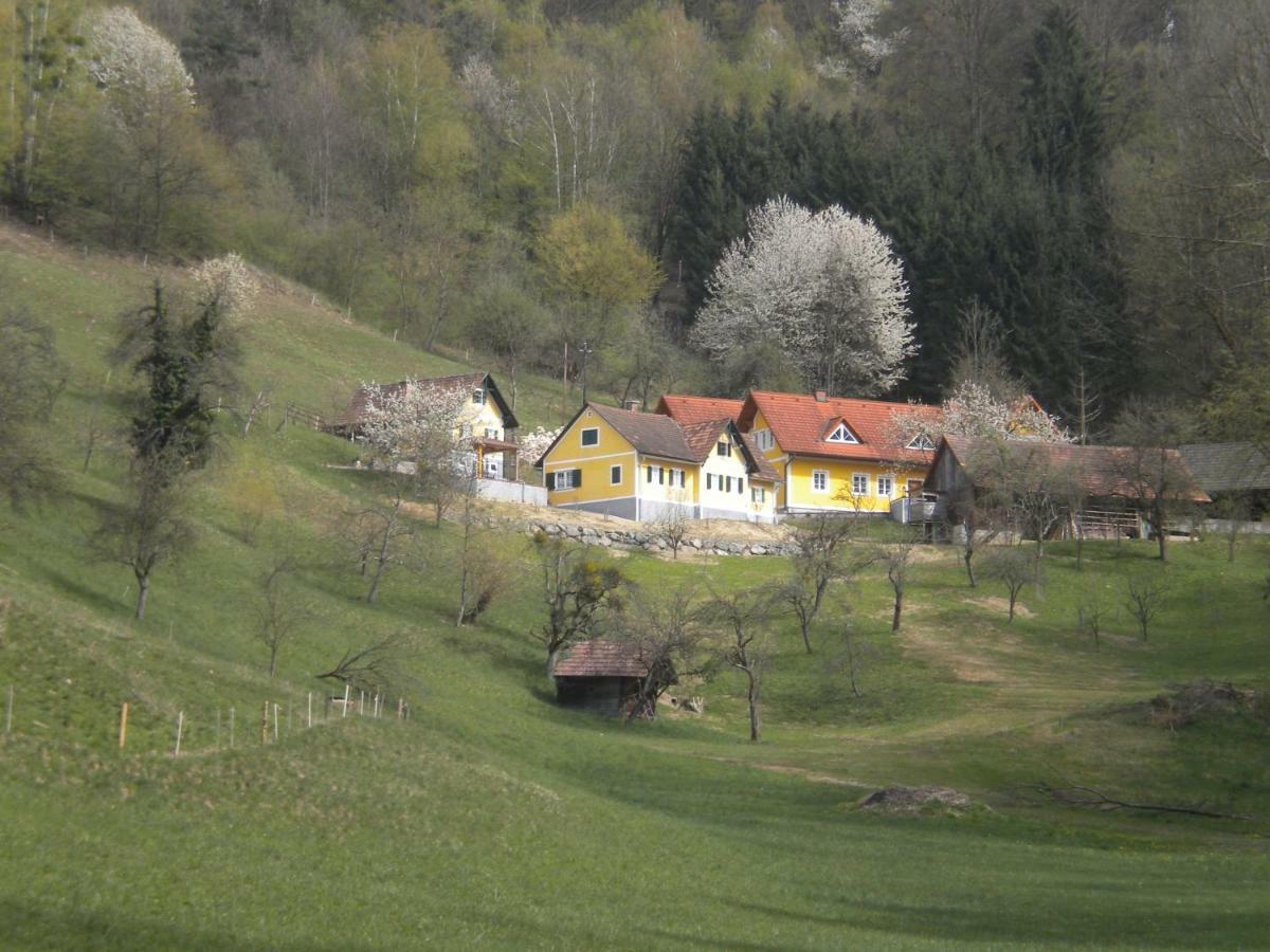Buchschneider - Ferienhaus Maier - Landhof Schwarzautal Bagian luar foto