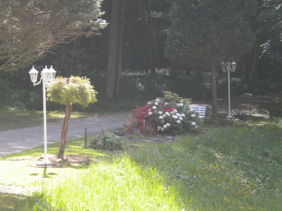 Buchschneider - Ferienhaus Maier - Landhof Schwarzautal Bagian luar foto